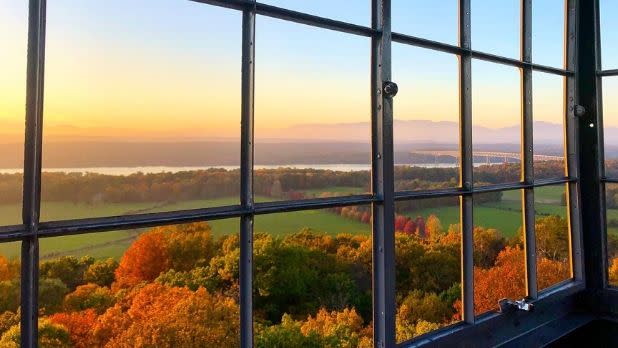 A photo of the view of Ferncliff Forest from the Fire Tower