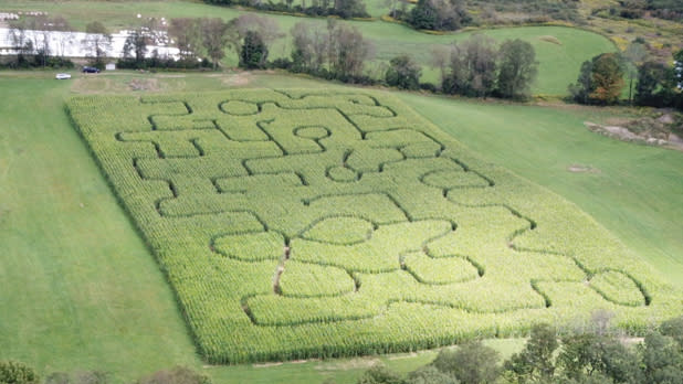 Aerial view of Fly Creek Valley Corn Maze