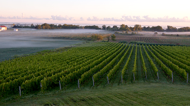 Arrowhead Spring Vineyards - Photo provided by Arrowhead Spring Vineyards for Niagara Wine Trail USA