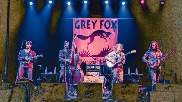 Grey Fox Bluegrass Festival, Billy Strings Band, Main Stage