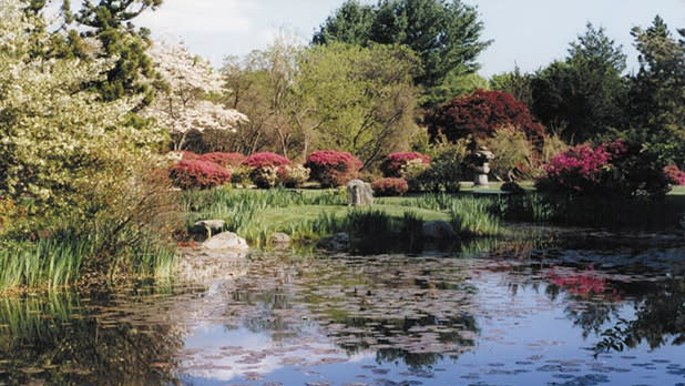 Hammond Museum and Japanese Stroll Garden