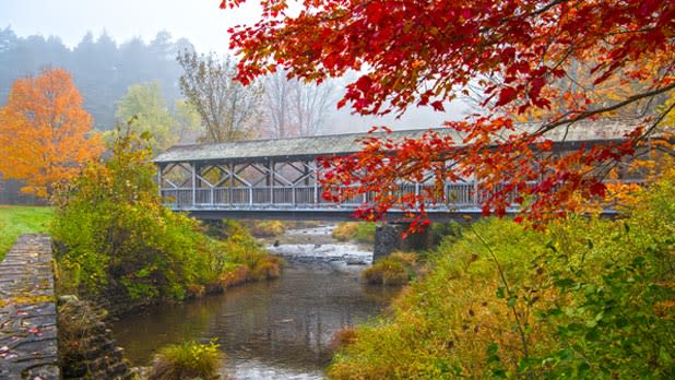 Trees wearing their fall colors surround a covered bridge in Allegany State Park