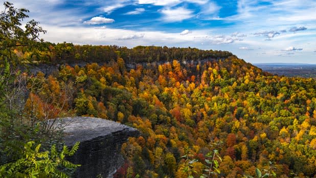 View from John Boyd Thacher State Park overlooking miles of trees in fall colors
