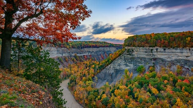 A view of Letchworth State Park in the fall as leaves turns shades of crimson and gold