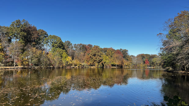 Lakeside view of fall foliage surrounding Willowbrook Lake