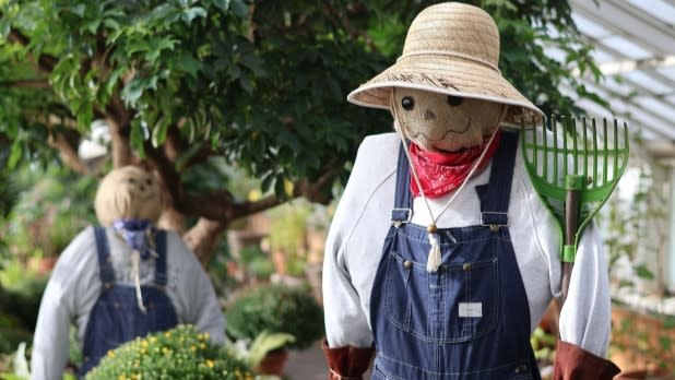 Two cheerful scarecrows in denim overalls and straw hats stand among garden flowers and leafy plants, creating a playful, welcoming farm-garden scene along the 2026 Scarecrow Trail at the Buffalo and Erie County Botanical Gardens.