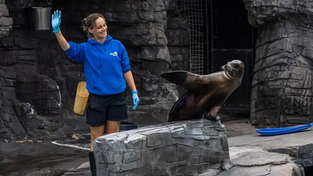 A seal waves at a crowd next to its trainer at the Long Island Aquarium