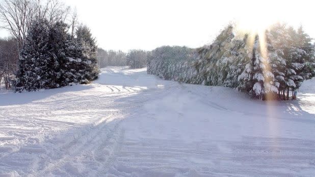 A trail at Mount Peter Ski Area