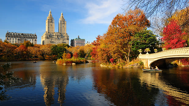 Central Park pond and bridge surrounded by fall foliage