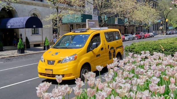A yellow taxi next to a patch of pink tulips on a street in New York City.