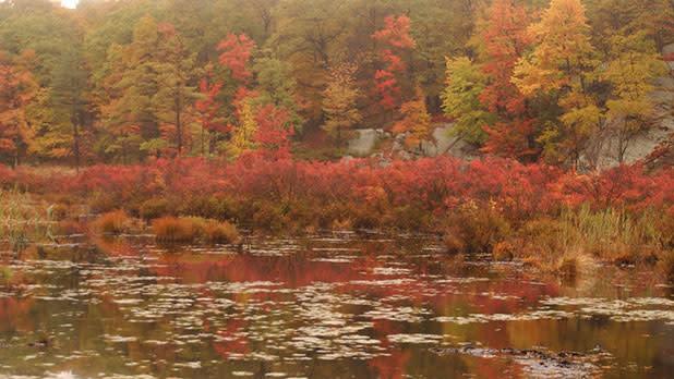 Orange-Co-Hudson-Valley-Harriman-State-Park-Lake0-1