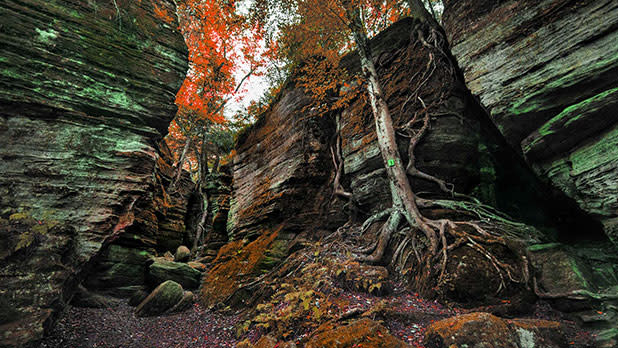 Panama Rocks Scenic Park - Photo  by Jonathan Weston