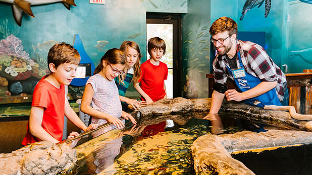 Children gather around a touch pool at the Sciencenter in Ithaca, pointing at marine life. A smiling guide in a plaid shirt and apron assists them.
