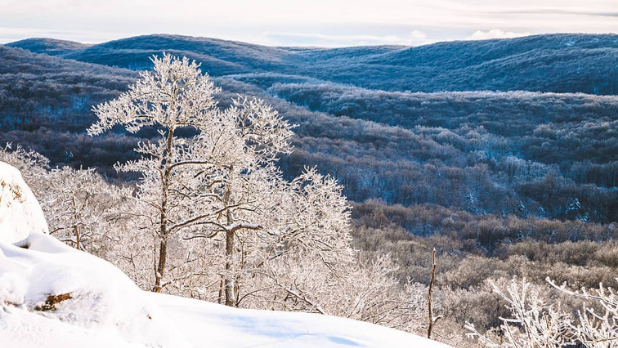 A winter photo of Harriman State Park with snow covered trees and a view of the mountains in the distance