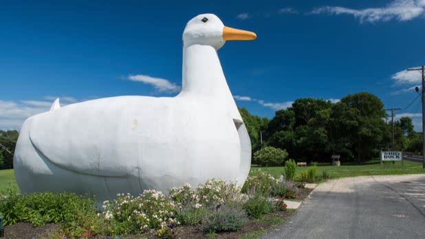 A building in the shape of a duck on Long Island, known as the Big Duck