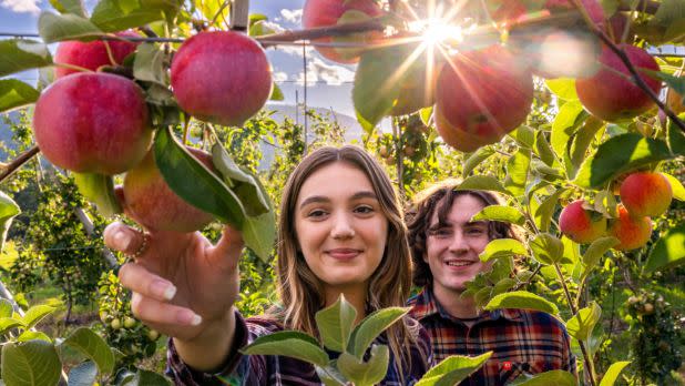 Indian Ladder Farms