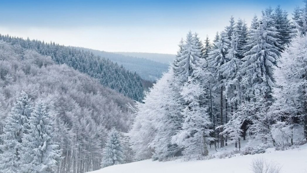 A picture of Windham Mountain in the winter with snow covered trees