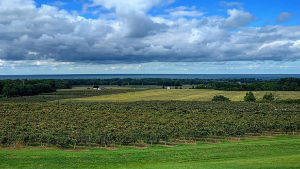 A landscape photo of Noble Winery in Westfield with Lake Erie in the background