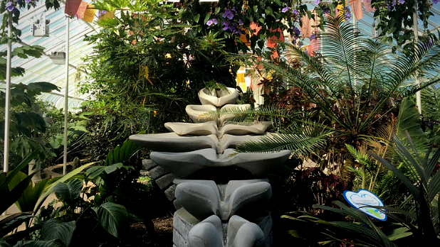 A photo of plants at the Buffalo and Erie County Botanical Gardens