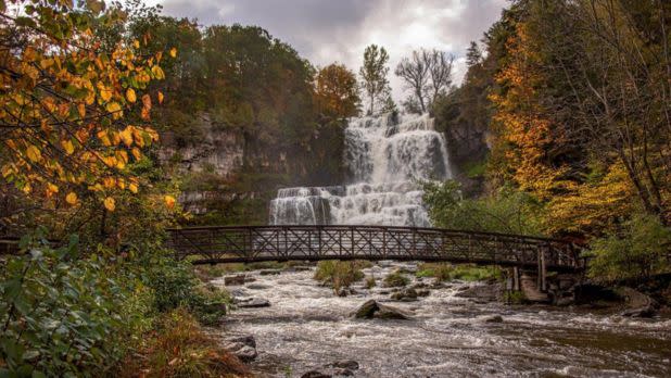 Fall foliage surrounding a cascading waterfall