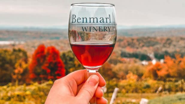 wine glass filled with red wine being held against colorful fall trees