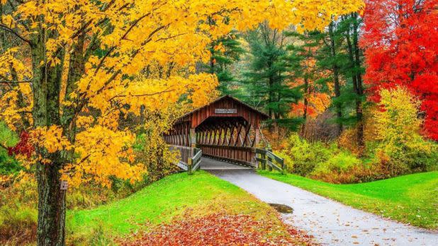 Allegany State Park