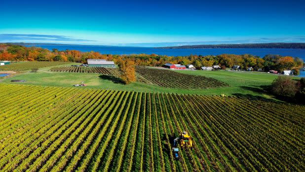 Sheldrake Point Winery