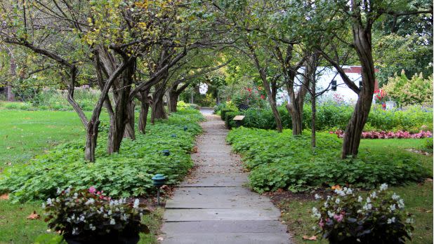 Tree and flower lined walkway