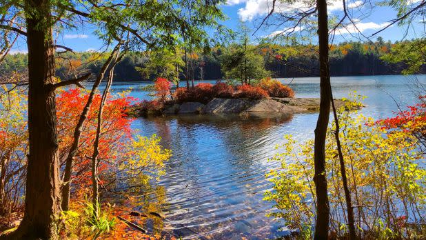Colorful leaves on trees in front of a blue lake and lush greenery