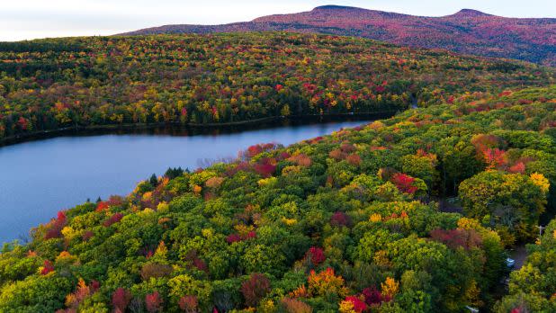 Colorful fall foliage on tree canopy and mountains above a blue lake