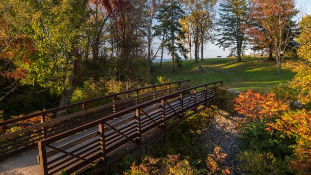 Foot bridge over green meadow and colorful fall trees on both sides