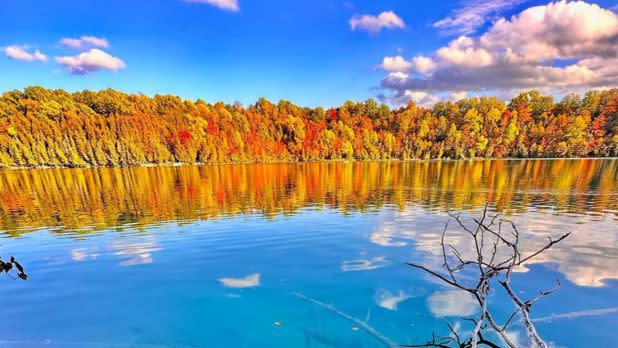 Colorful fall foliage on trees reflecting off of a blue lake