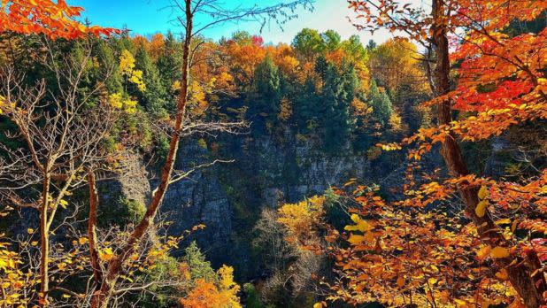 Colorful fall foliage on cliffsides and trees
