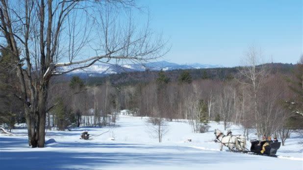 Snowy landscape with a horse-drawn sleigh on the right, surrounded by bare trees and hills in the background under a clear blue sky. Tranquil winter scene.