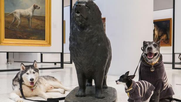 Three different dog breeds sit and lay on either side of a dog statue, with paintings of dogs in the background