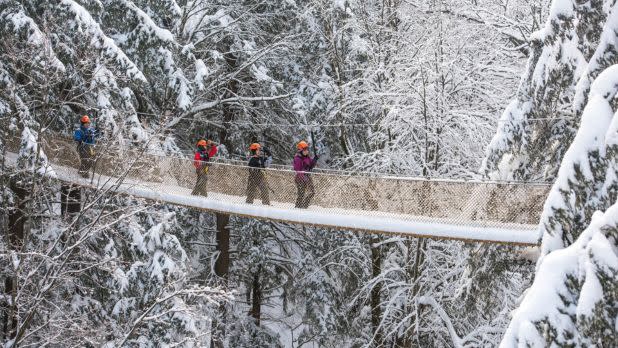 Bristol Mountain Aerial Park - Photo Courtesy of Bristol Mountain Aerial Adventures A group of people in winter gear crosses a snowy, canopy-level suspension bridge surrounded by snow-covered trees, conveying a sense of adventure.