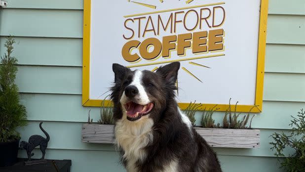 Stamford Coffee