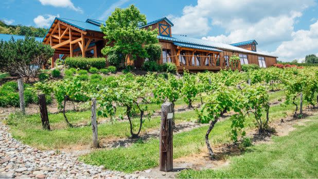 Bully Hill Vineyard