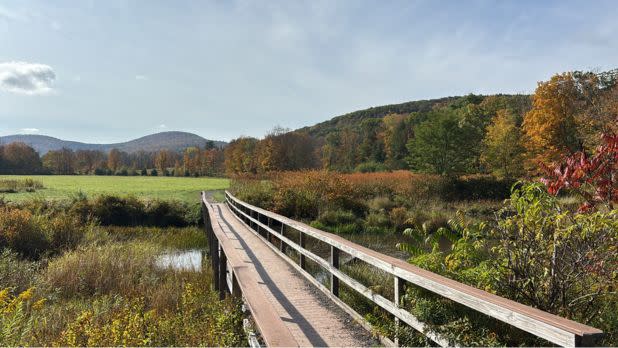 A wooden boardwalk crosses a wetland meadow with colorful autumn trees and rolling hills in the background.