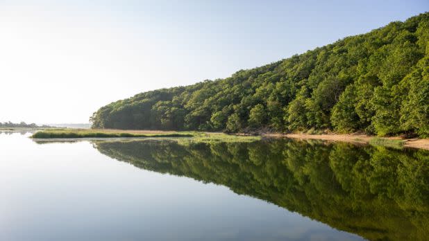 A vibrant green, tree-covered hillside is perfectly reflected in the calm, glassy water of a wide river or inlet on a clear morning.