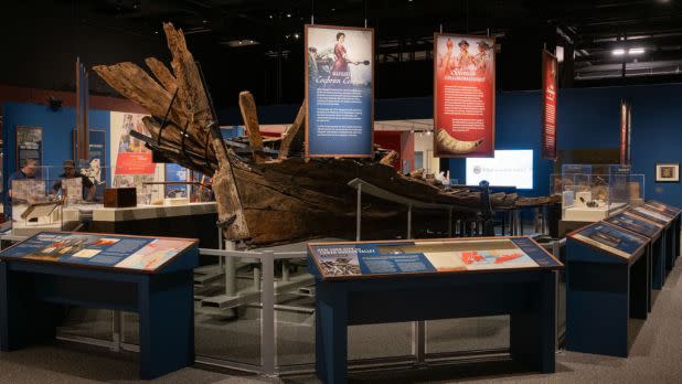 NYS Museum