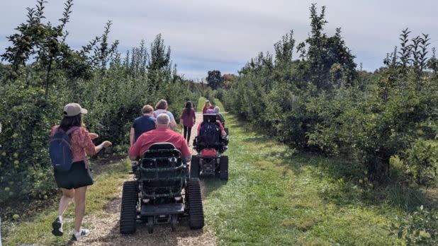 A group of people, including two individuals using all-terrain tracked wheelchairs, navigate a path through rows of apple trees in an orchard under a bright sky.