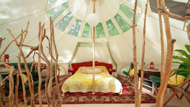 Cozy yurt bedroom with a colorful bed, patterned rugs, rustic branch decor, leafy plants, and a bright skylight creating a serene retreat.