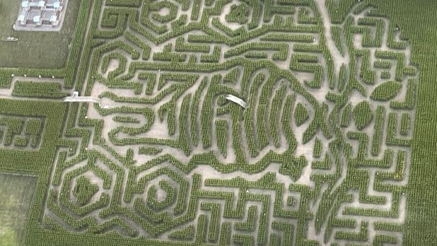 Birds eye view of an intricate, five-acre corn maze