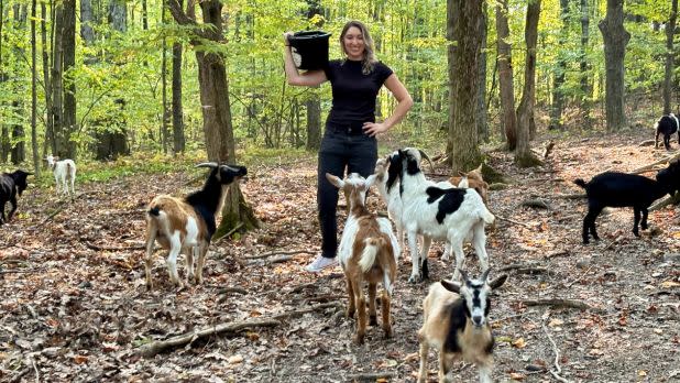 A smiling woman in a wooded clearing holds a black bucket as several goats gather around her, creating a calm, friendly farm-animal scene.