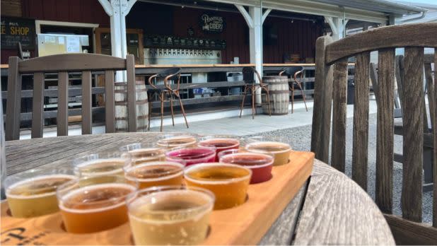 A wooden drink-tasting paddle holds small glasses of amber, gold, and red beverages in a quiet bar, framed by dark chairs; the mood is calm.