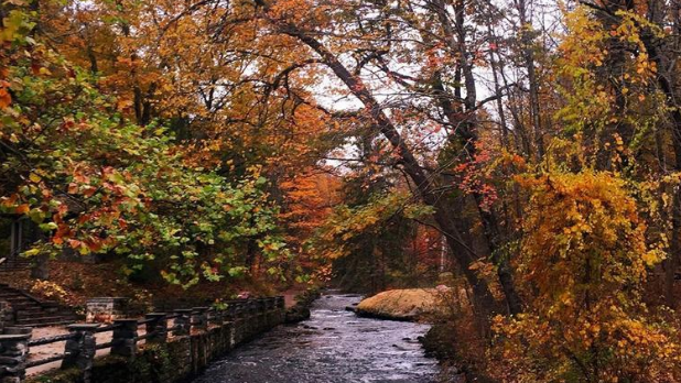 The view of a trail and stream at Saratoga State Park during the fall season