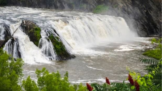 Cohoes Falls surrounded by green vegetation