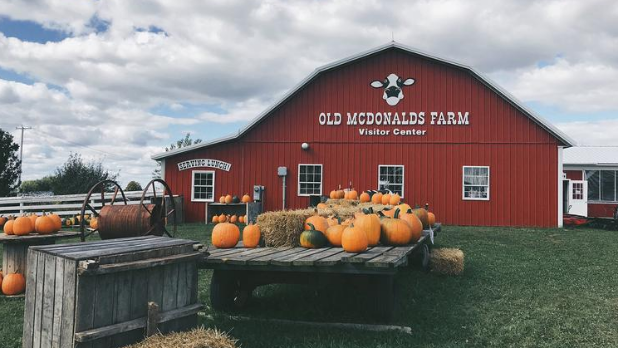 The exterior of Old McDonald's Farm with pumpkins on a table in the front of the barn