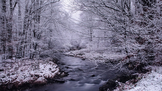 Wintry scene of a stream and trees in Allegany State Park